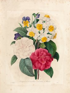 ビクターによって彫刻されたカメリア、水仙、パンジーの花束、「Choix des Plus Belles Fleurs et des Beaux Fruits」、Vol。私、1827-33